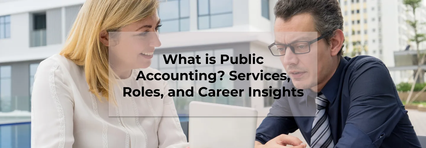 Public accountant reviewing client financial statements